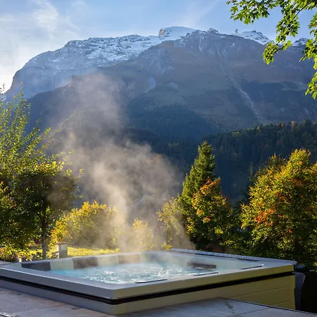 Hotel Waldegg - Adults Only-3